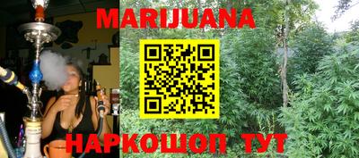 гидра Беслан