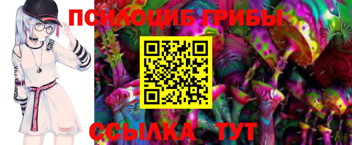 Псилоцибиновые грибы Psilocybine cubensis Белореченск